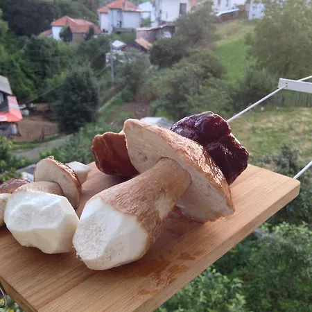 بيت ضيافة Kermedchieva