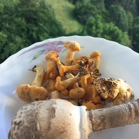 بيت ضيافة Kermedchieva Momchilovtsi (Smolyan)