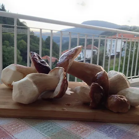 بيت ضيافة Kermedchieva